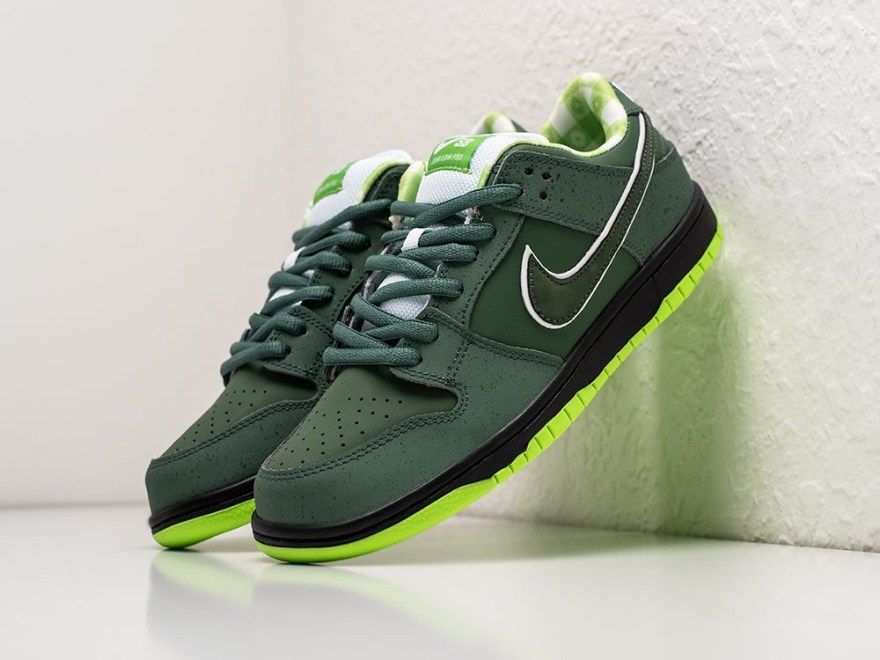 krossovki-concepts-x-nike-sb-dunk-low-1