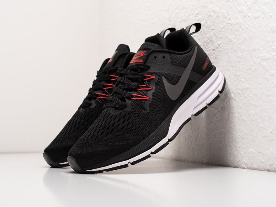 krossovki-nike-air-zoom-pegasus-31-1