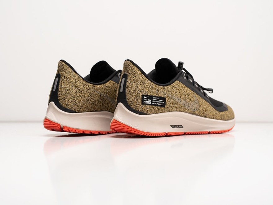 krossovki-nike-air-zoom-pegasus-35-shield-2