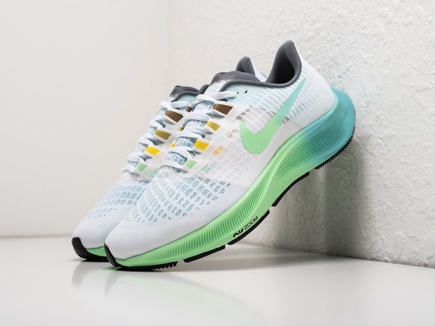 krossovki-nike-air-zoom-pegasus-37-1