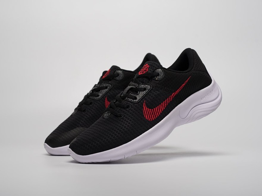 krossovki-nike-flex-experience-run-11-1