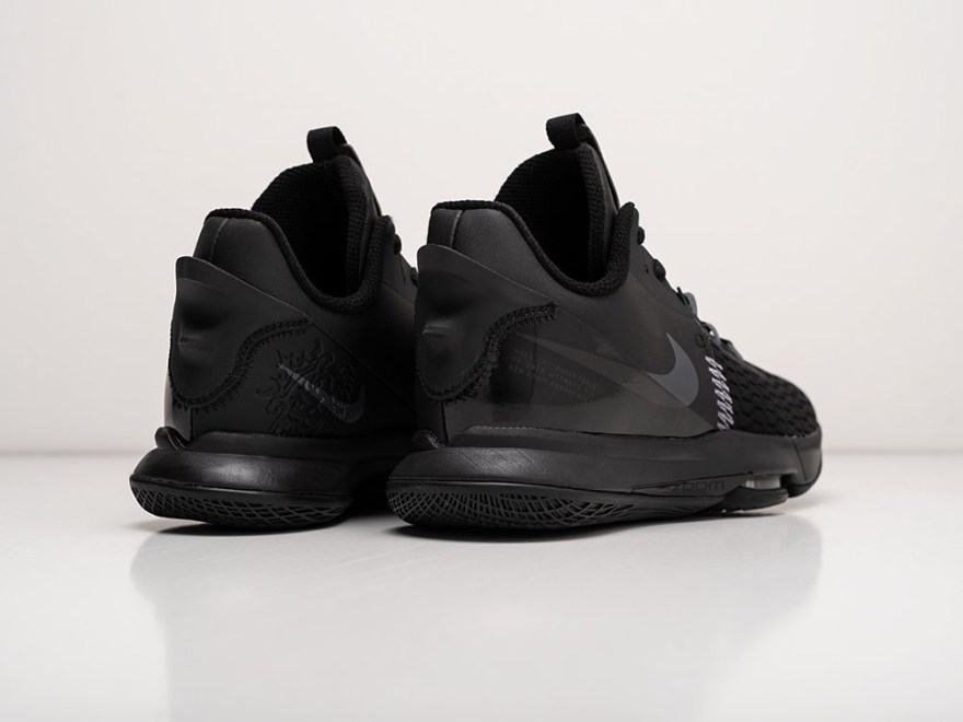 krossovki-nike-lebron-witness-v-2