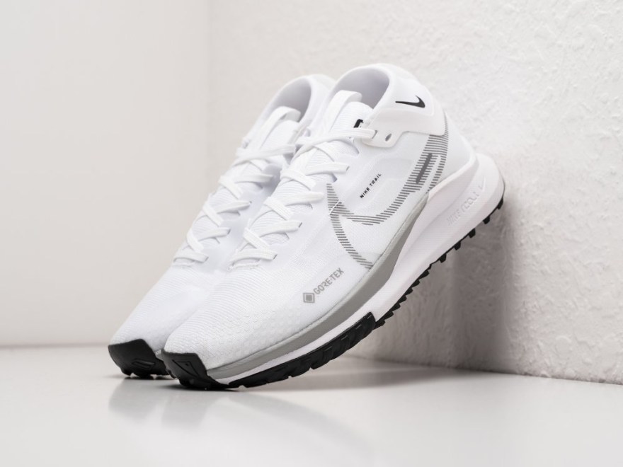 krossovki-nike-react-pegasus-trail-4-gtx-1